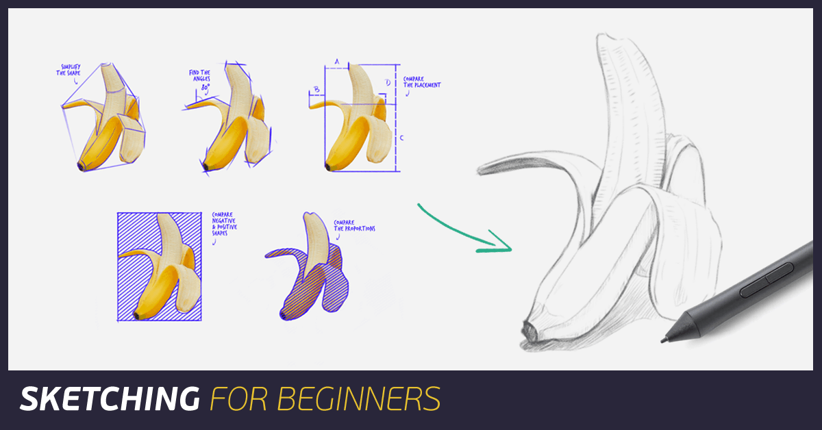 Sketching For Beginners: 5 Tips to Level-Up Your Drawings - Paintable